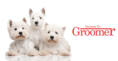 Subscribe to Groomer to Groomer