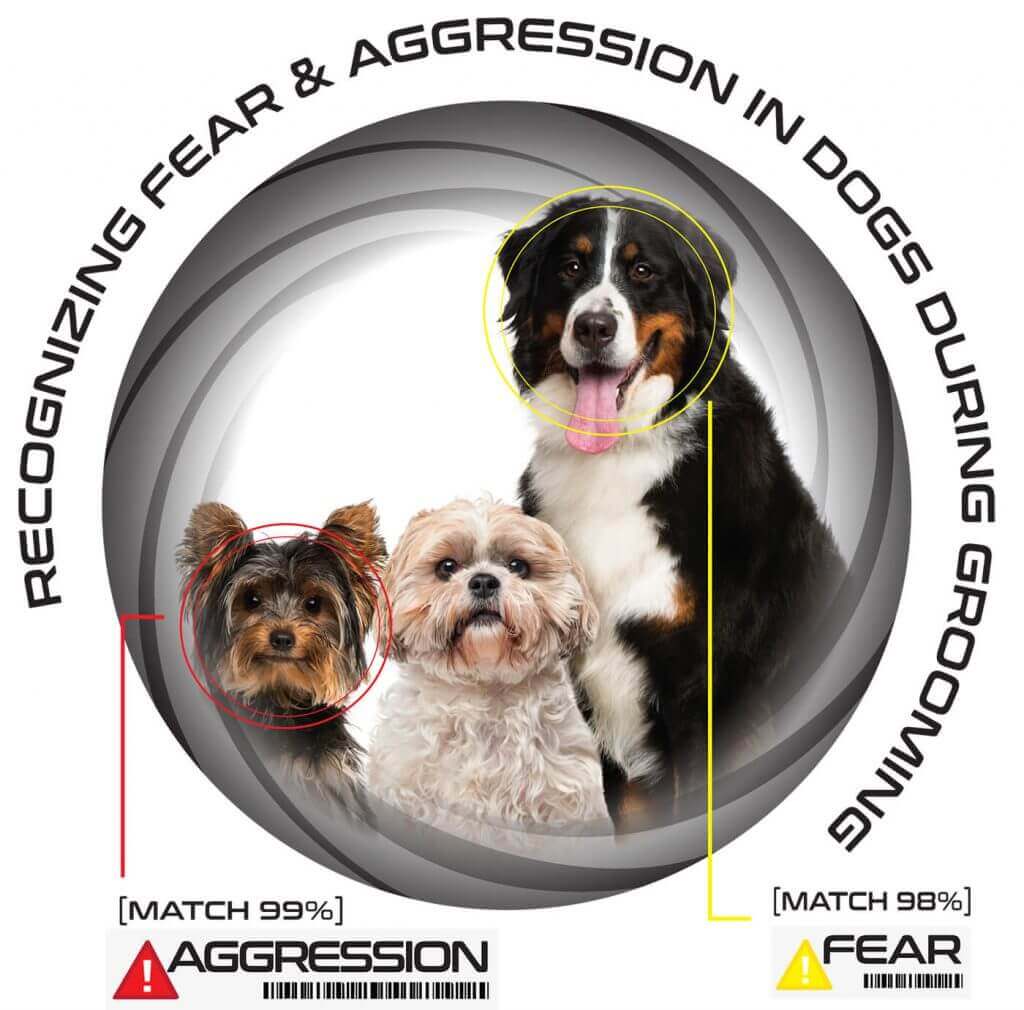 Recognizing Fear & Aggression In Dogs During Grooming Groomer to Groomer