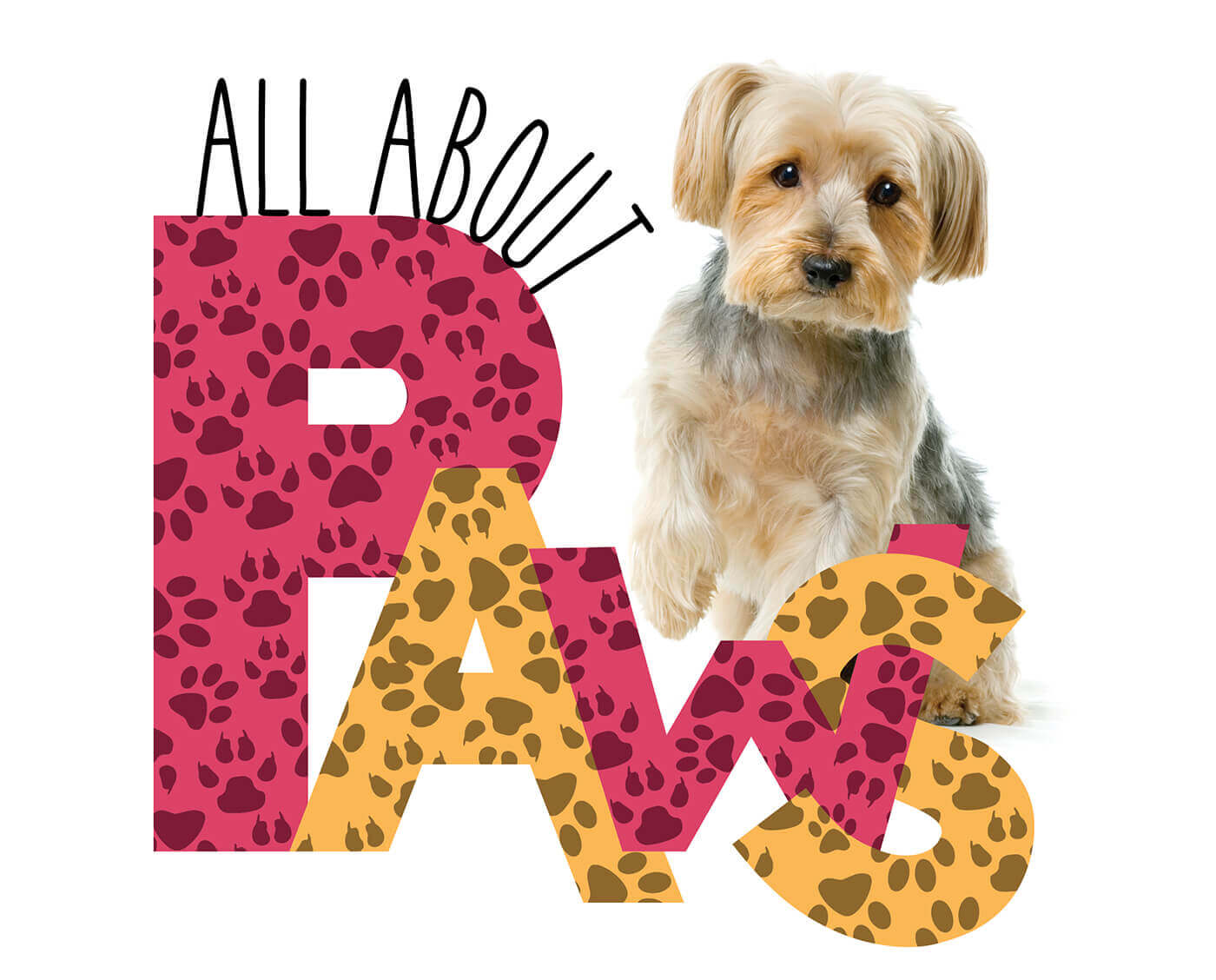 All About Paws - Groomer to Groomer