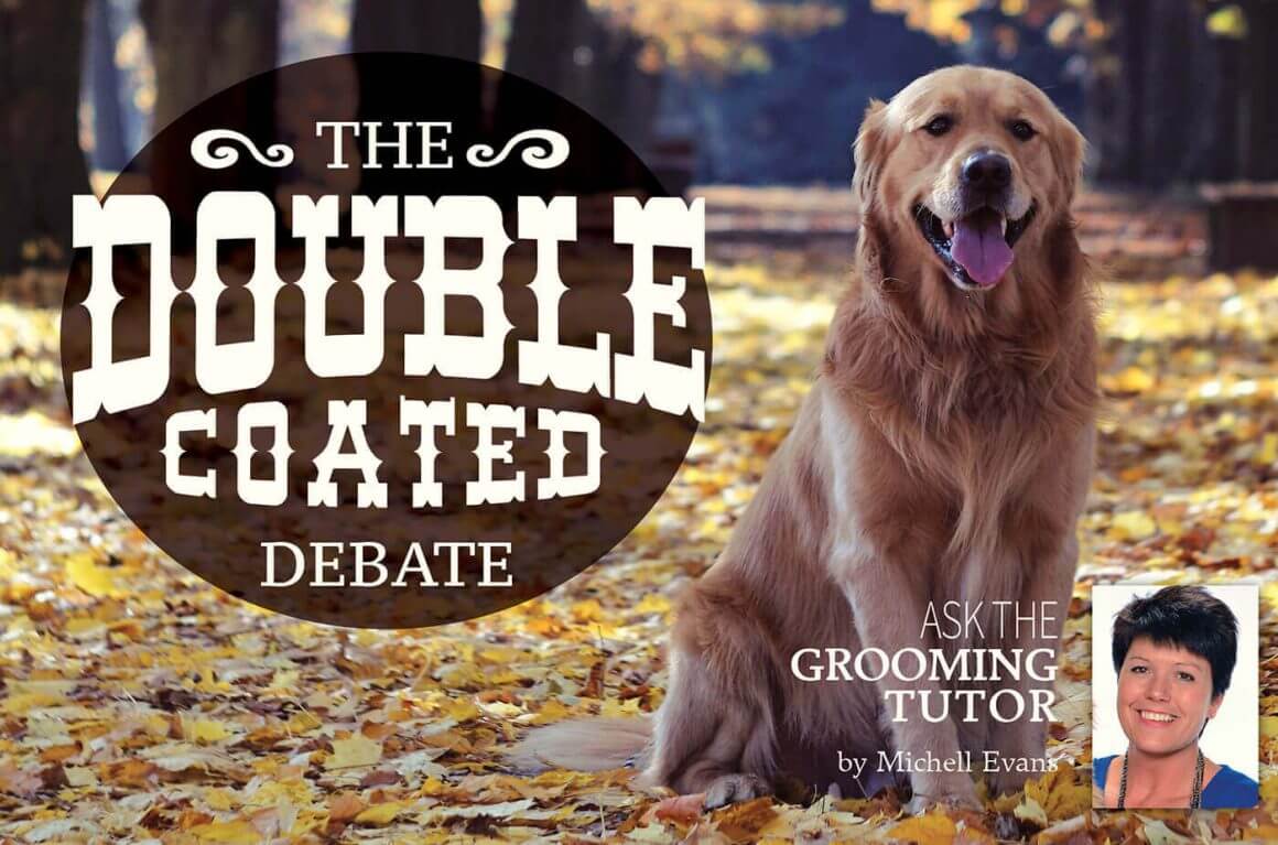 The Double Coated Debate Groomer to Groomer