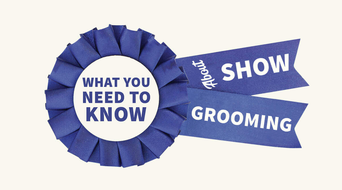 What You Need to Know About Show Grooming Groomer to Groomer