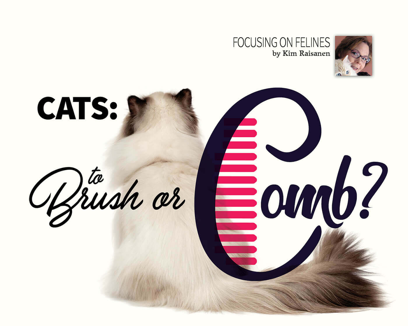 Cats and combs shop