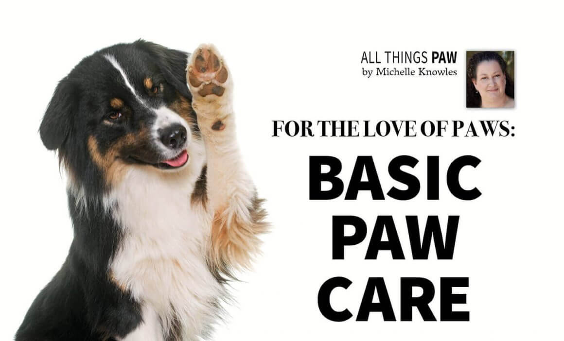 basic paw care