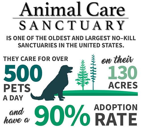 animal care sanctuary