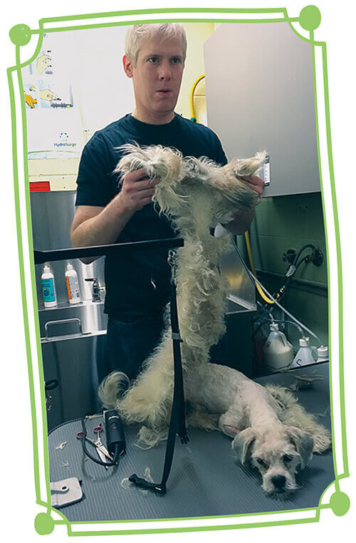 Imhof holding shaved coat of matted dog