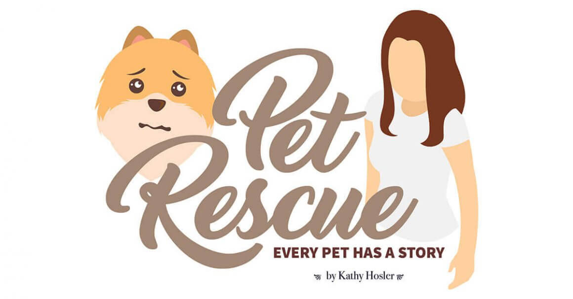 pet rescue