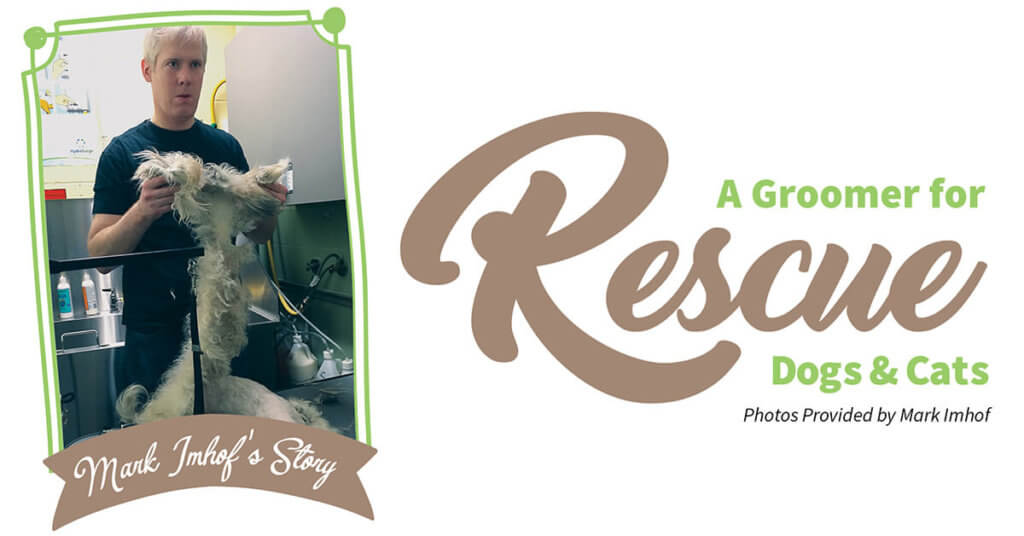 A Groomer For Rescue Dogs & Cats Groomer to Groomer