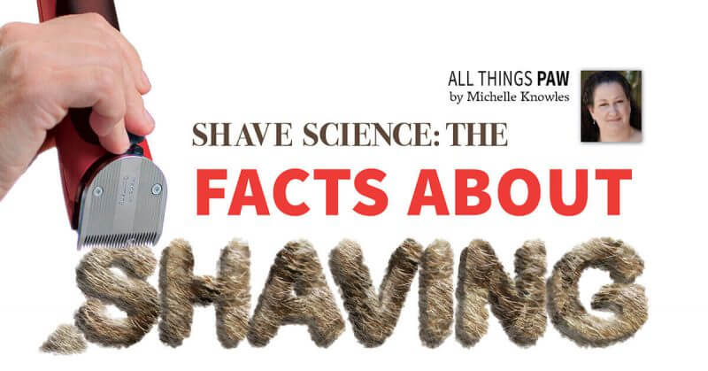 skin science