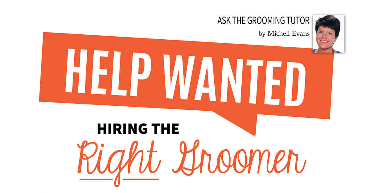 Help Wanted Hiring The Right Groomer Groomer to Groomer