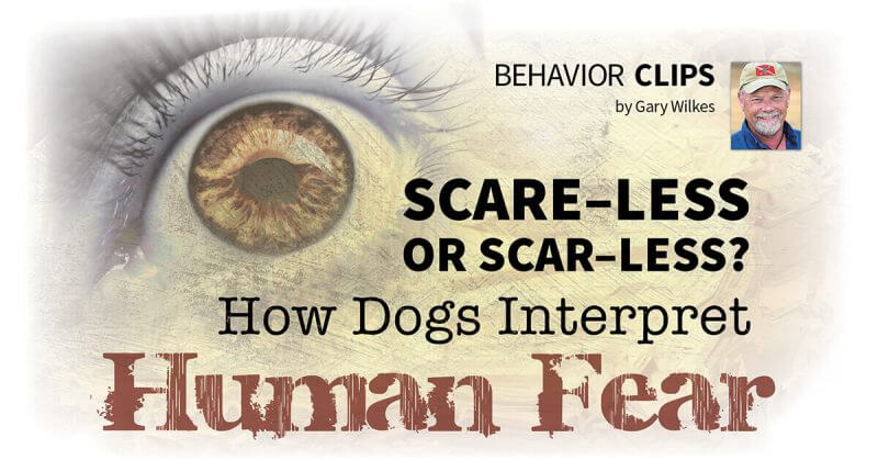Human Fear