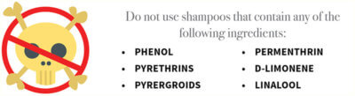 shampoo ingredients that can be harmful to cats