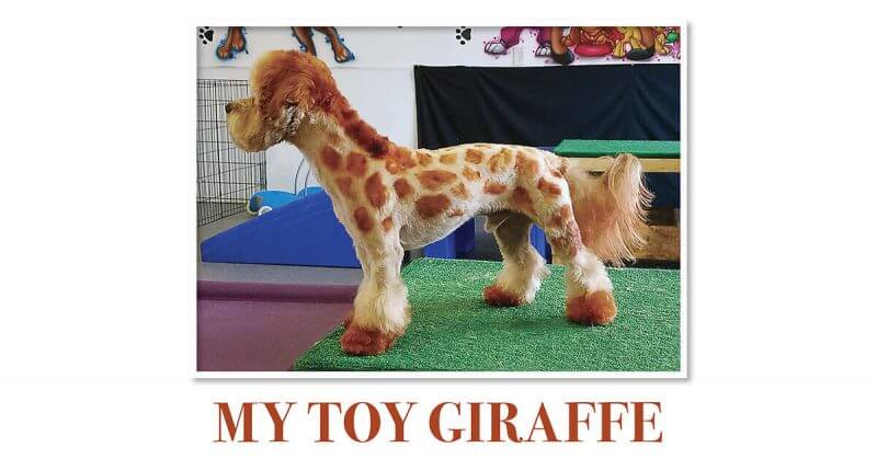 My Toy Giraffe