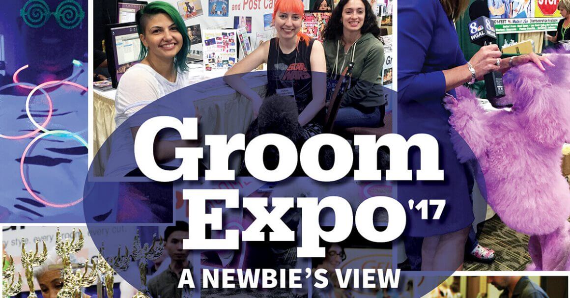 Groom Expo'17 A Newbie's View