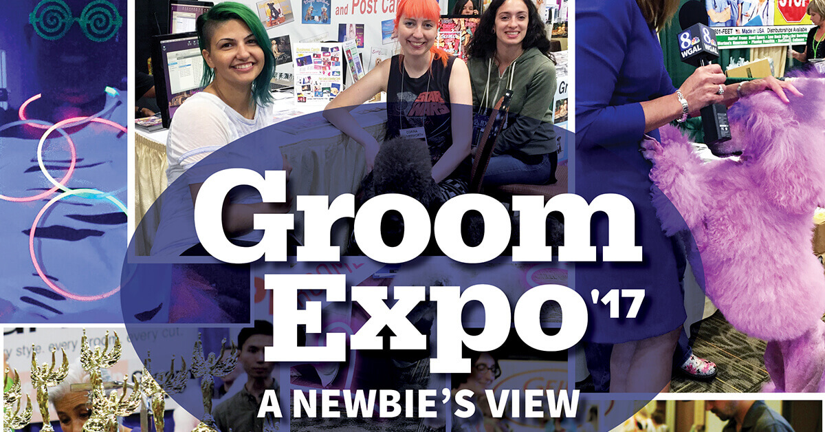 Groom Expo'17 A Newbie's View Groomer to Groomer