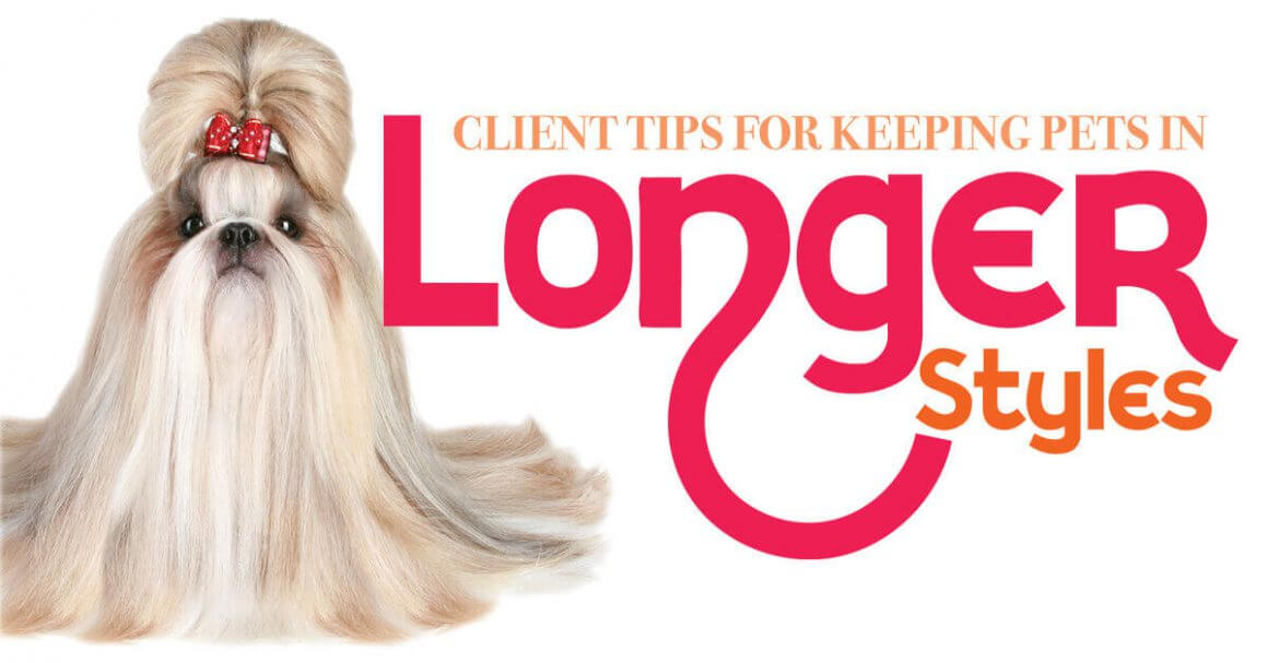 longer styles