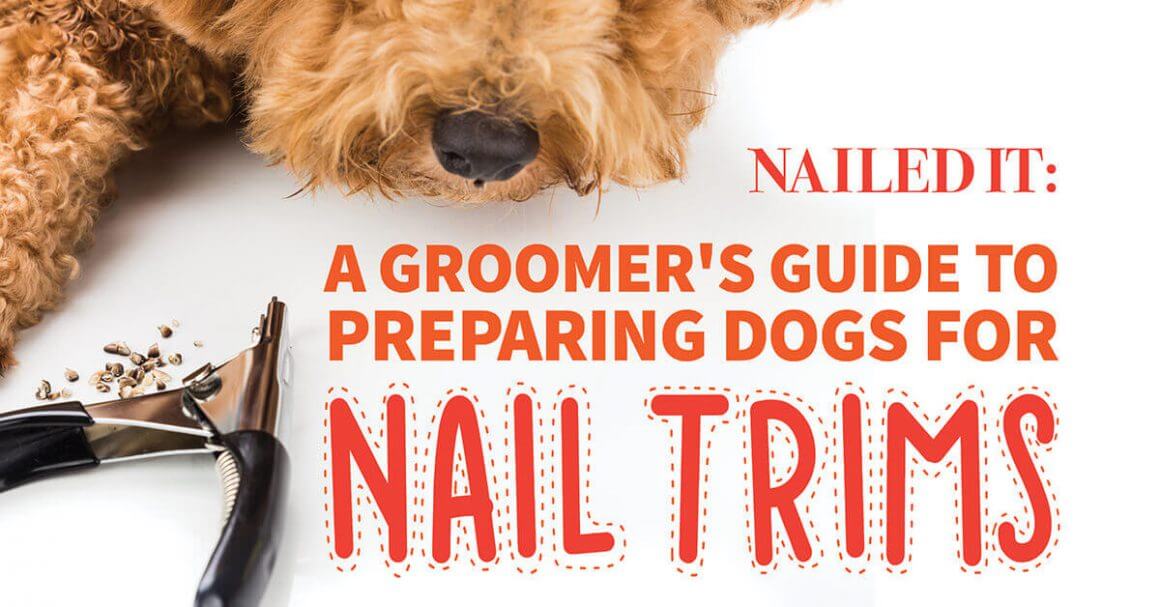 nail trims