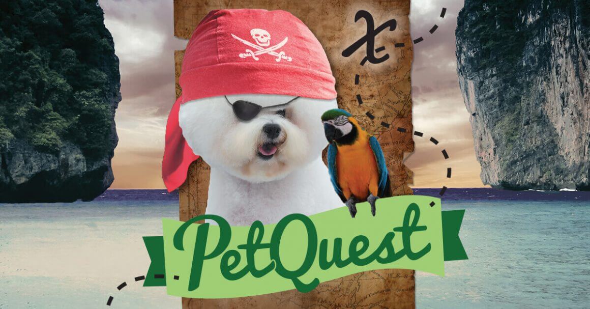 petquest pirate dog