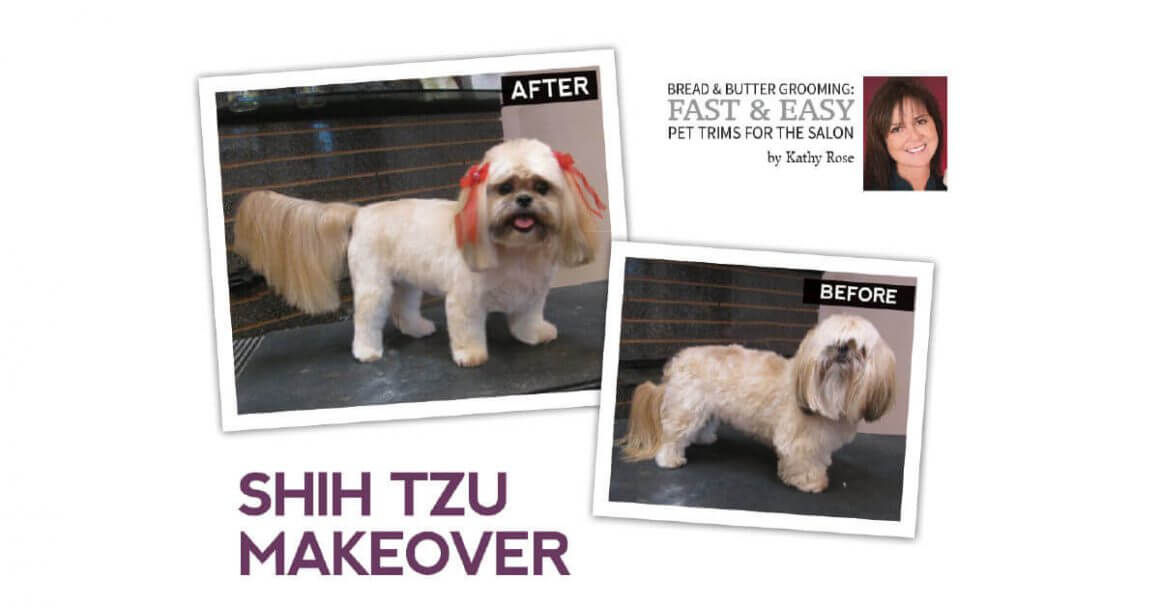 shih tzu makeover