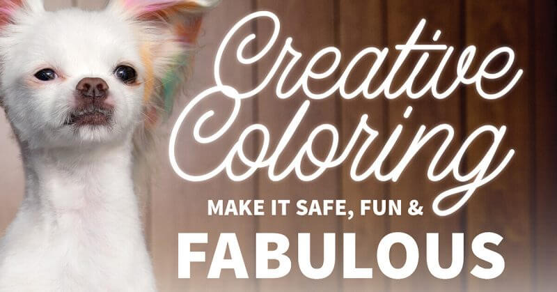 Creative Coloring: Make It Safe, Fun & Fabulous