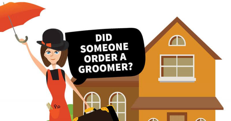 Did Someone Order a Groomer? Making Pet Grooming House Calls