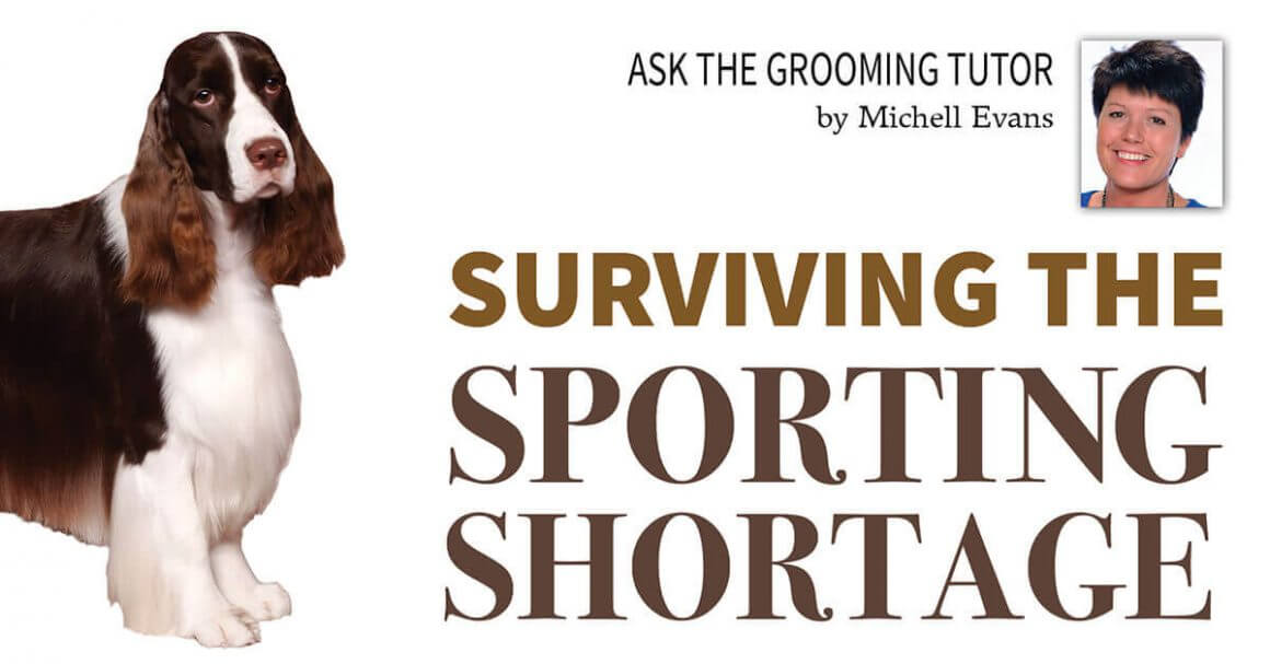 Surviving the Sporting Shortage