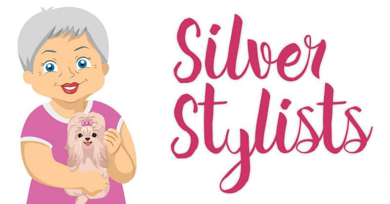 Silver stylist