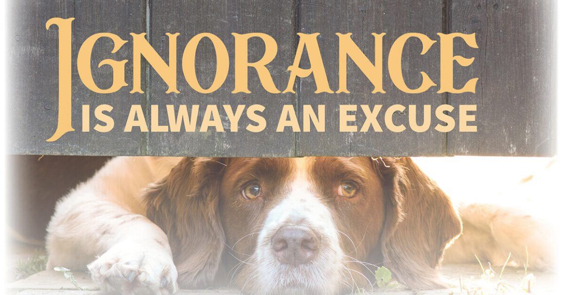 Ignorance Is Always an Excuse