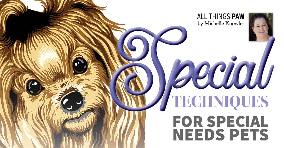 Special Techniques for Special Needs Pets Groomer to Groomer