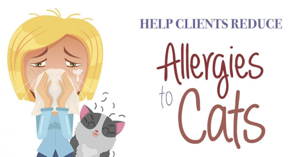 Help Clients Reduce Allergies to Cats