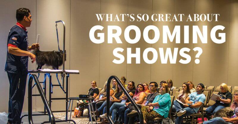 What's so Great About Grooming Shows?