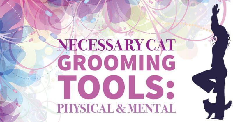 Necessary Cat Grooming Tools: Physical & Mental