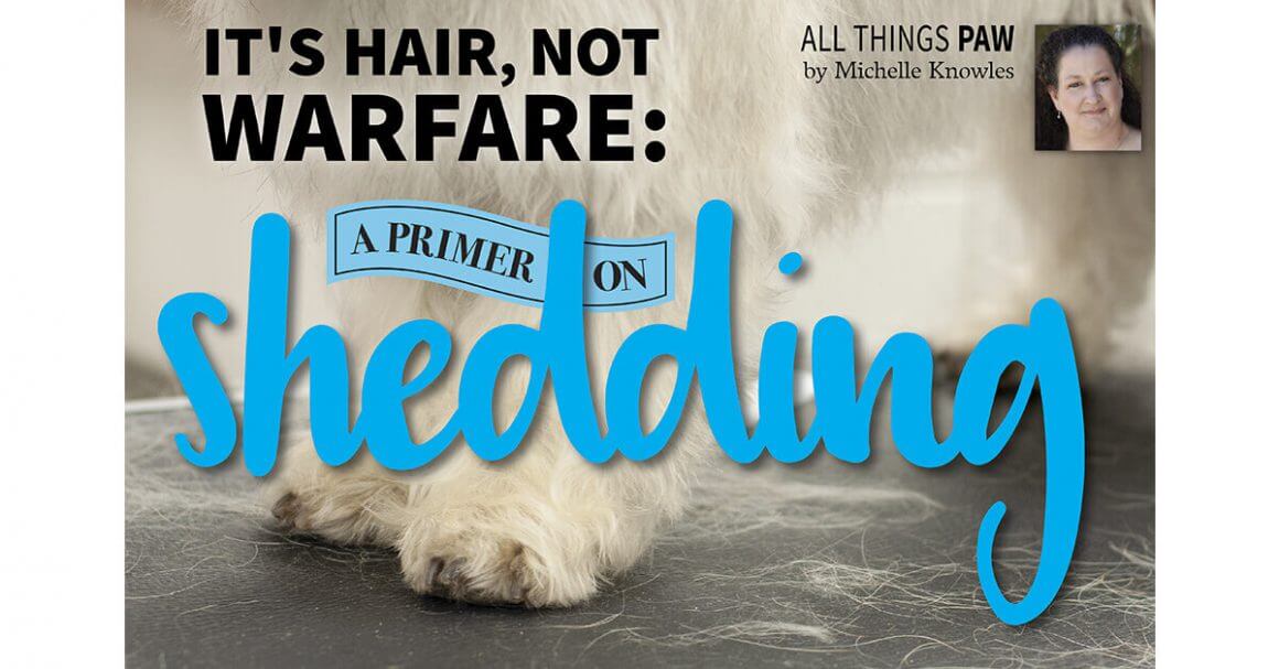 It's Hair, Not Warfare: A Primer on Shedding