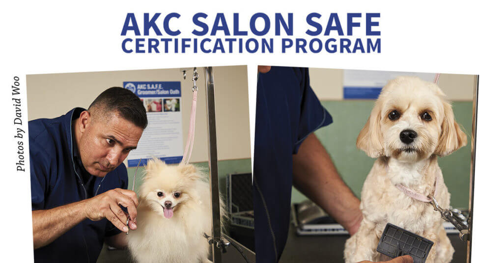 AKC Salon Safe Certification Program Groomer to Groomer Magazine
