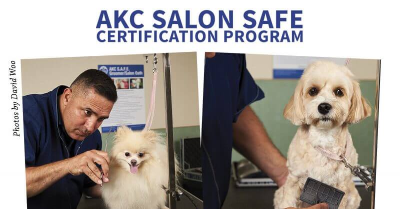 AKC Salon Safe Certification Program