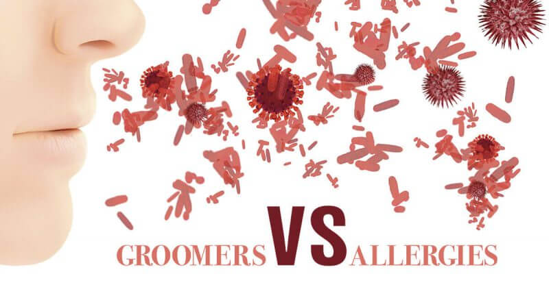 Groomers vs Allergies