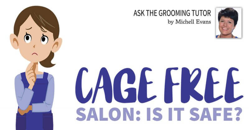 Cage Free Salon: Is It Safe?