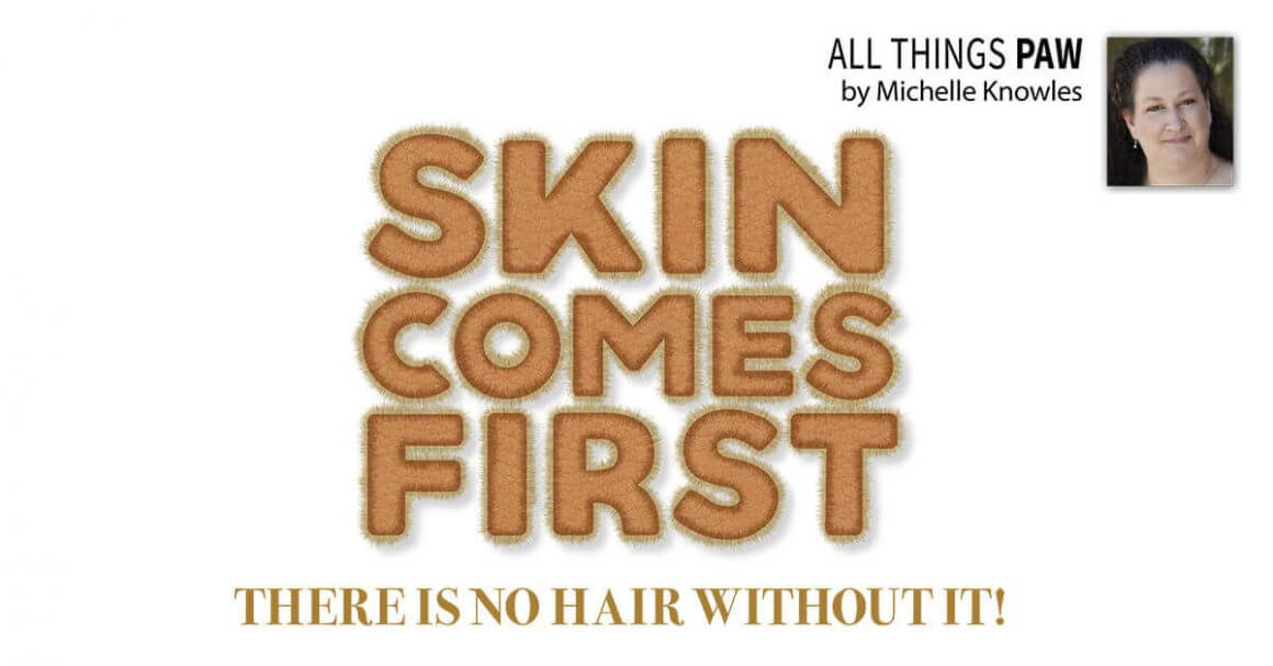 Skin Comes First: There Is No Hair Without It!