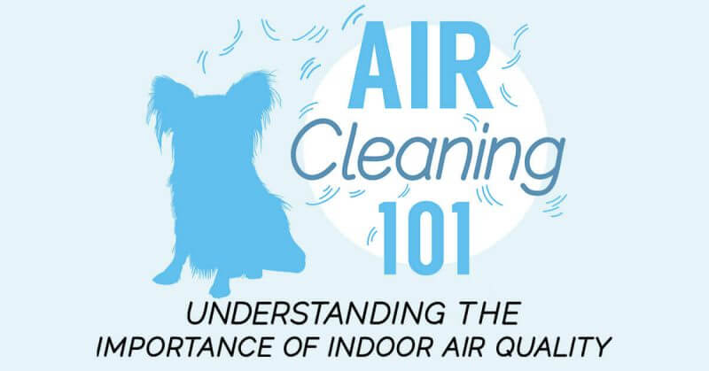 Air Cleaning 101: Understanding the Importance of Indoor Air Quality