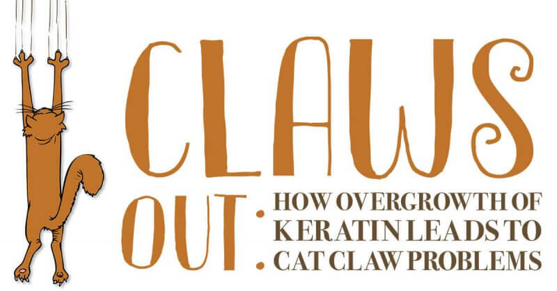 Claws Out: How Overgrowth of Keratin Leads to Cat Claw Problems