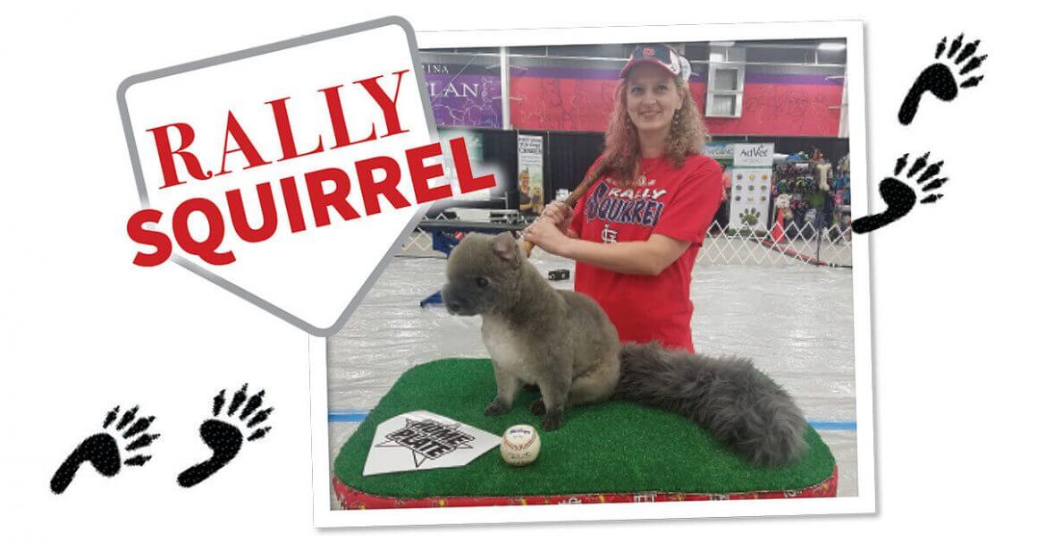 Rally Squirrel