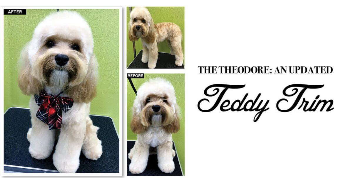 The Theodore: An Updated Teddy Trim