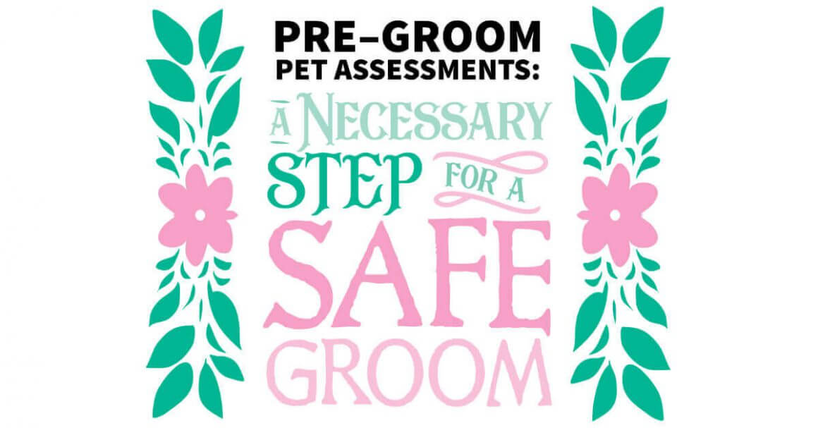 Pre Groom Pet Assessments: A Necessary Step for a Safe Groom
