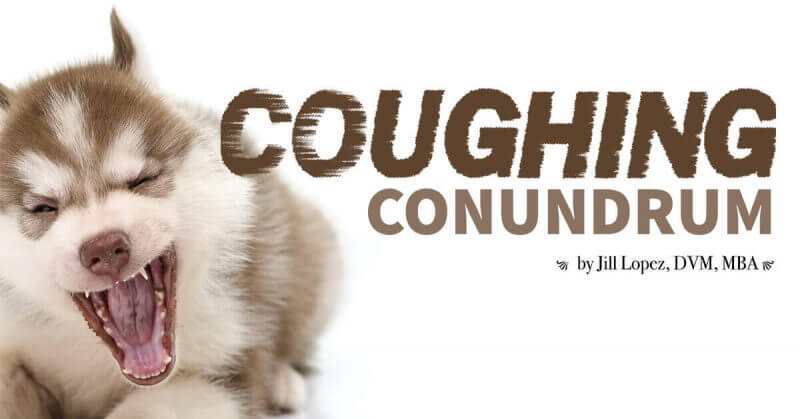 Coughing Conundrum