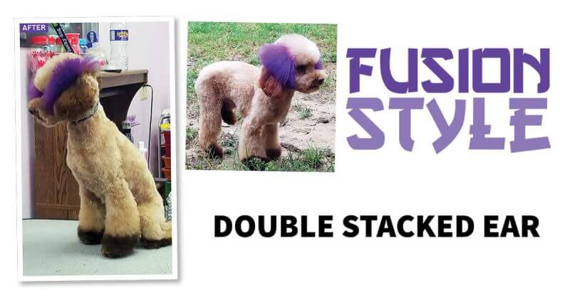 Fusion Style: Double Stacked Ear