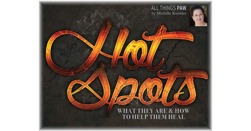 Hot Spots: What They Are & How to Help Them Heal