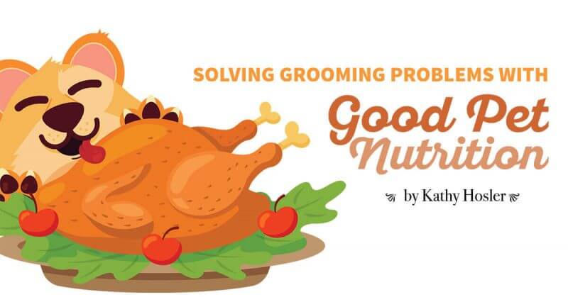 Solving Grooming Problems with Good Pet Nutrition