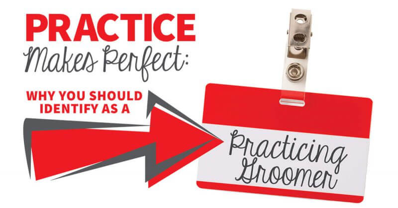 Practice Makes Perfect: What You Should Identify as a Practicing Groomer