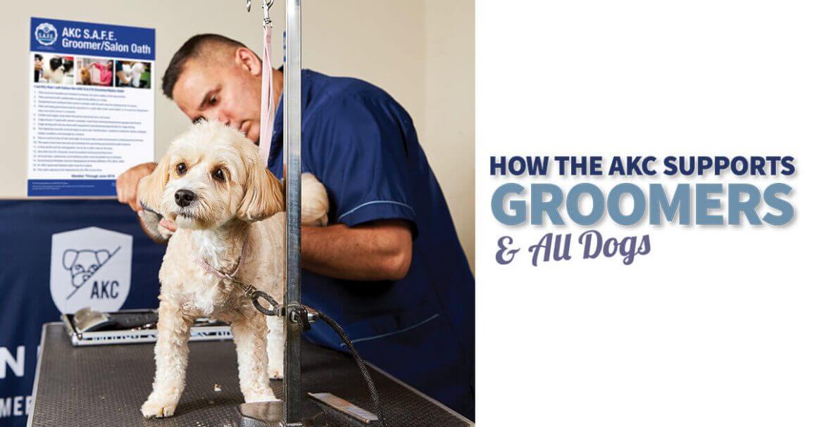 How the AKC Supports Groomers & All Dogs