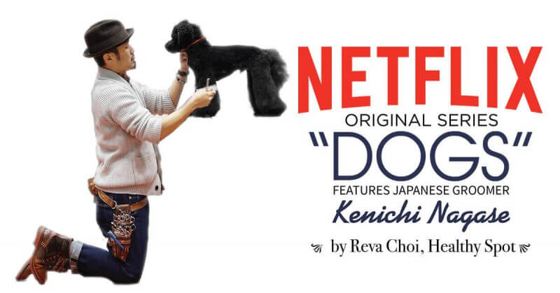 Netflix Original Series "Dogs": Features Japanese Groomer Kenichi Nagase