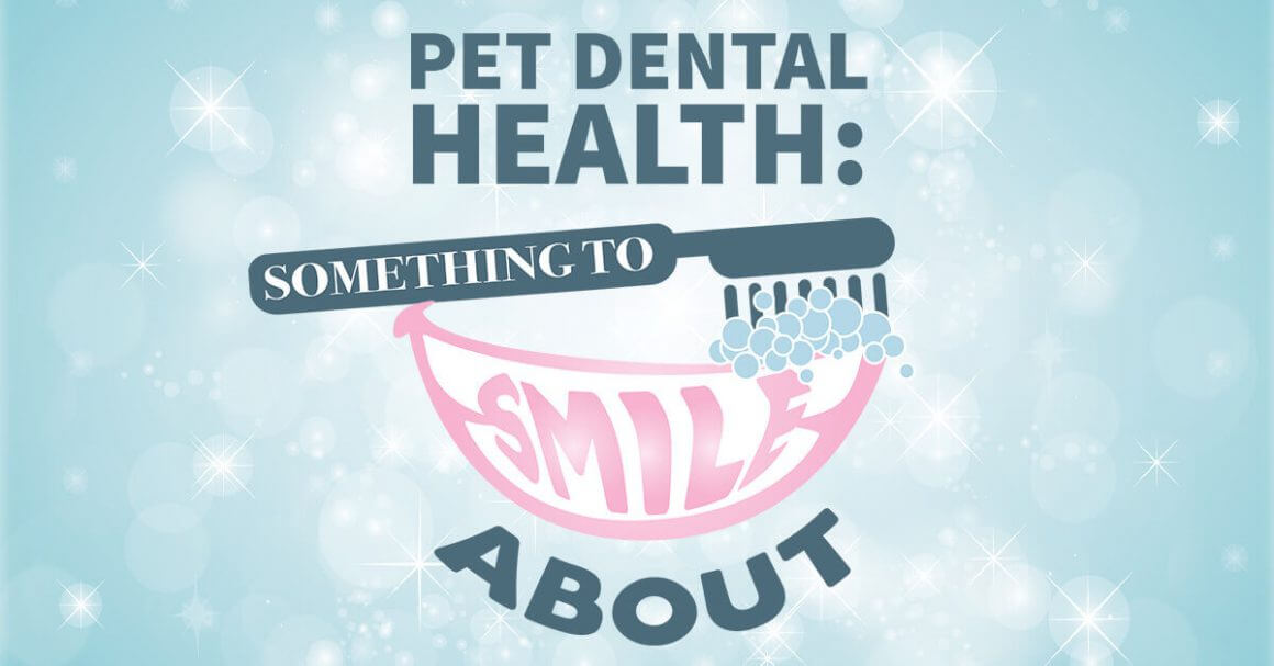 Pet Dental Health: Something to Smile About